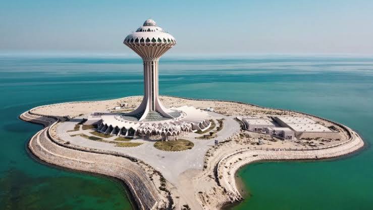 صورة 2